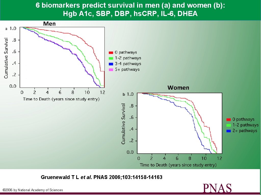 6 biomarkers predict survival in men (a) and women (b): Hgb A 1 c,