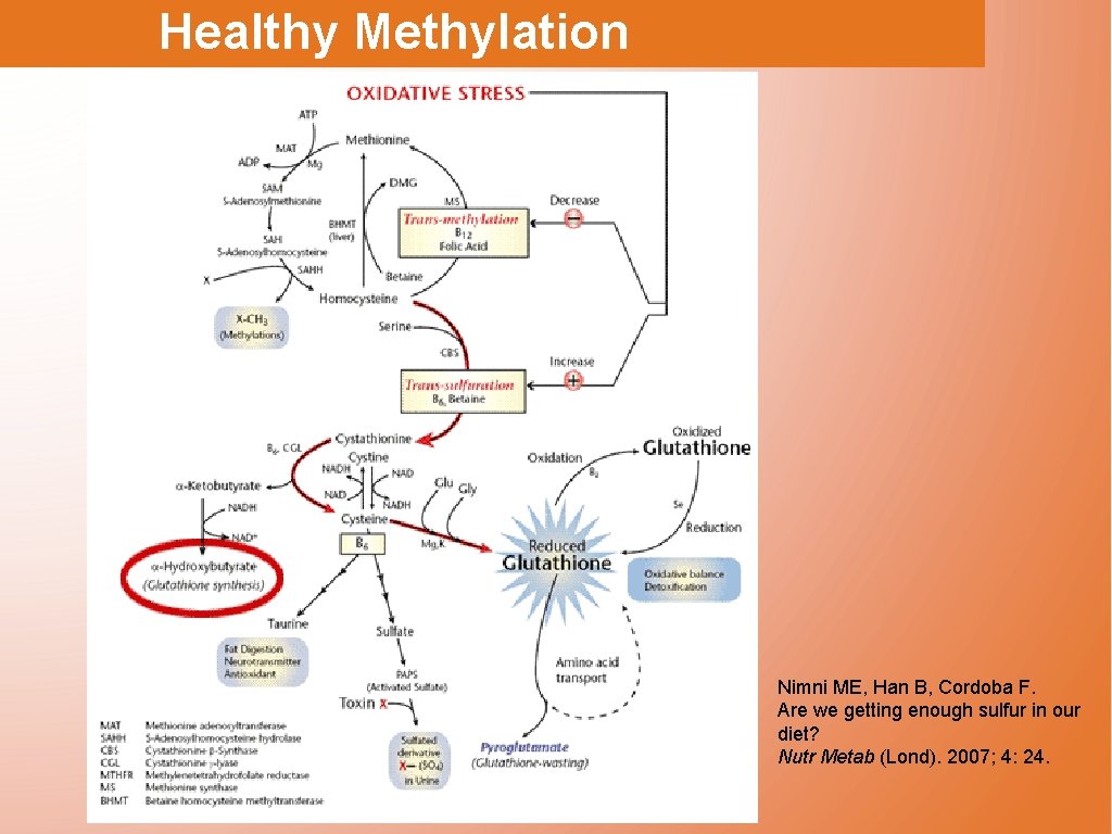 Healthy Methylation Nimni ME, Han B, Cordoba F. Are we getting enough sulfur in
