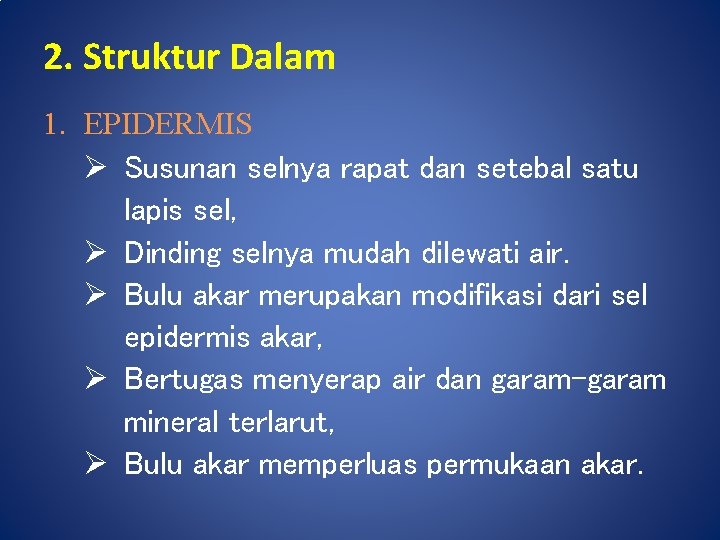2. Struktur Dalam 1. EPIDERMIS Ø Susunan selnya rapat dan setebal satu lapis sel,
