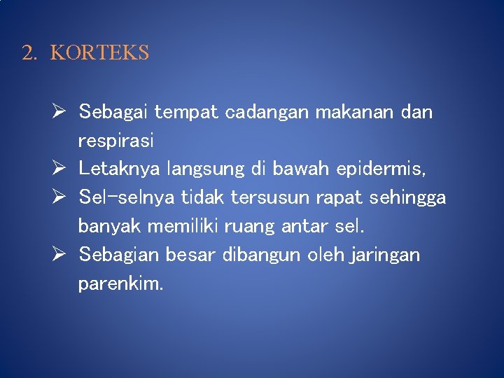 2. KORTEKS Ø Sebagai tempat cadangan makanan dan respirasi Ø Letaknya langsung di bawah