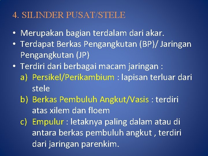 4. SILINDER PUSAT/STELE • Merupakan bagian terdalam dari akar. • Terdapat Berkas Pengangkutan (BP)/