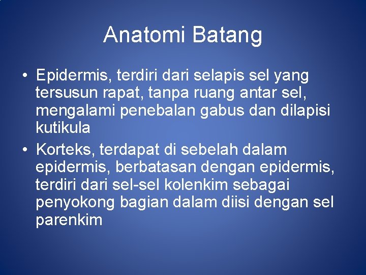 Anatomi Batang • Epidermis, terdiri dari selapis sel yang tersusun rapat, tanpa ruang antar