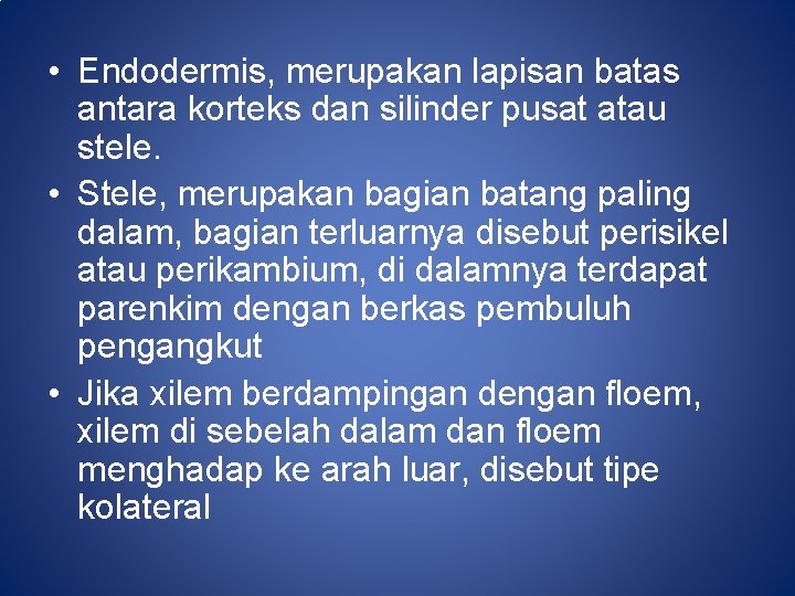  • Endodermis, merupakan lapisan batas antara korteks dan silinder pusat atau stele. •