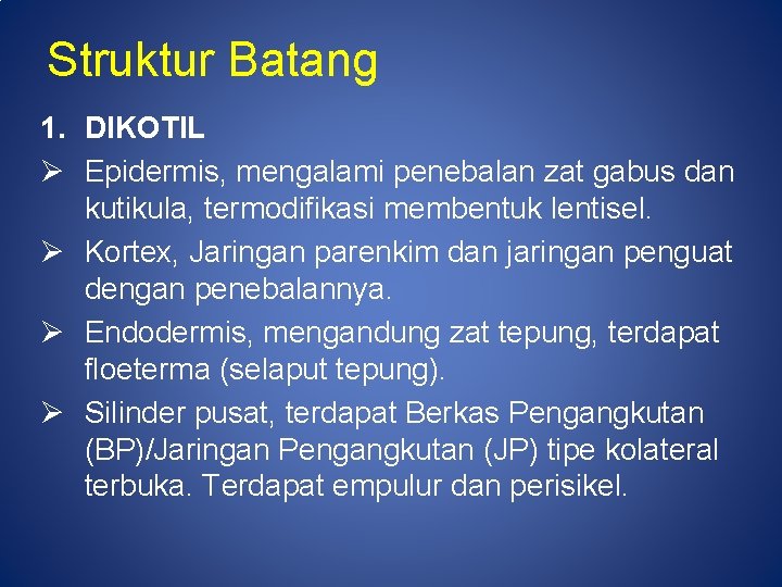 Struktur Batang 1. DIKOTIL Ø Epidermis, mengalami penebalan zat gabus dan kutikula, termodifikasi membentuk