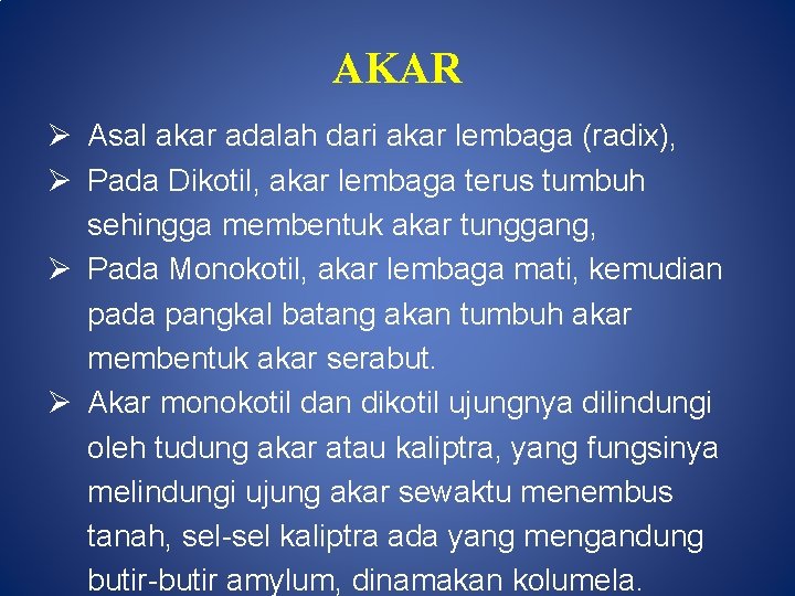 AKAR Ø Asal akar adalah dari akar lembaga (radix), Ø Pada Dikotil, akar lembaga