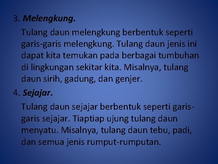3. Melengkung. Tulang daun melengkung berbentuk seperti garis-garis melengkung. Tulang daun jenis ini dapat