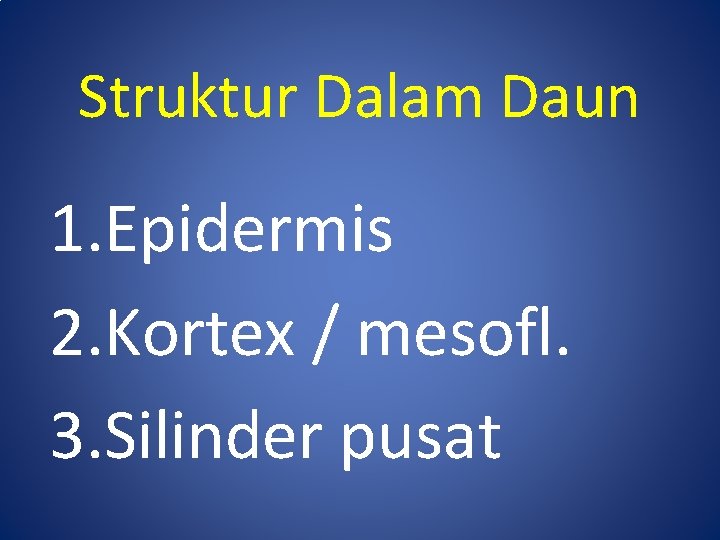 Struktur Dalam Daun 1. Epidermis 2. Kortex / mesofl. 3. Silinder pusat 