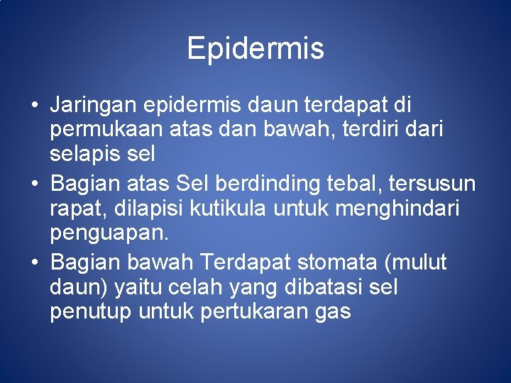 Epidermis • Jaringan epidermis daun terdapat di permukaan atas dan bawah, terdiri dari selapis