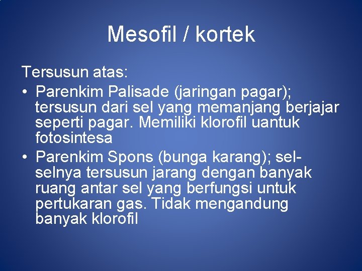 Mesofil / kortek Tersusun atas: • Parenkim Palisade (jaringan pagar); tersusun dari sel yang