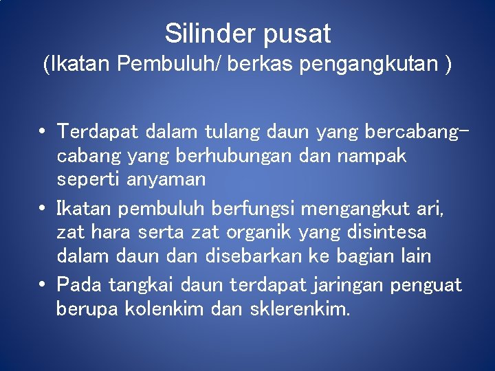 Silinder pusat (Ikatan Pembuluh/ berkas pengangkutan ) • Terdapat dalam tulang daun yang bercabang