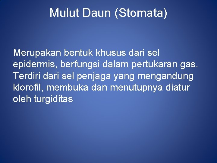 Mulut Daun (Stomata) Merupakan bentuk khusus dari sel epidermis, berfungsi dalam pertukaran gas. Terdiri