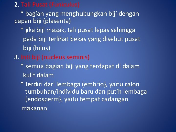 2. Tali Pusat (Funiculus) * bagian yang menghubungkan biji dengan papan biji (plasenta) *