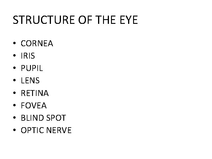 STRUCTURE OF THE EYE • • CORNEA IRIS PUPIL LENS RETINA FOVEA BLIND SPOT