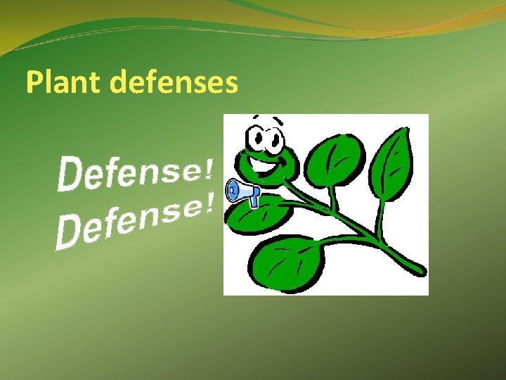 Plant defenses 