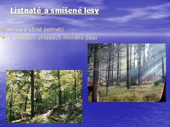 Listnaté a smíšené lesy • mírné a vlhké podnebí • v teplejších oblastech mírného