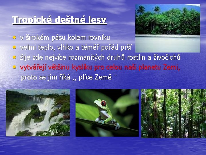 Tropické deštné lesy • • v širokém pásu kolem rovníku velmi teplo, vlhko a