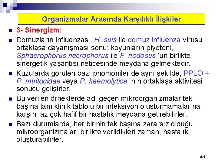 Organizmalar Arasında Karşılıklı İlişkiler n n n 3 - Sinergizm: Domuzların influenzası, H. suis