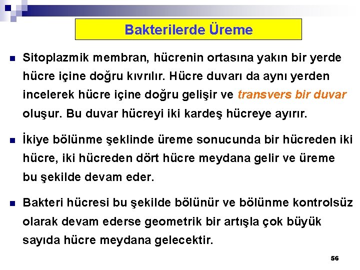 Bakterilerde Üreme n Sitoplazmik membran, hücrenin ortasına yakın bir yerde hücre içine doğru kıvrılır.