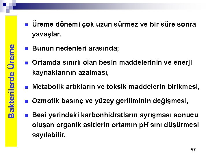 Bakterilerde Üreme n Üreme dönemi çok uzun sürmez ve bir süre sonra yavaşlar. n