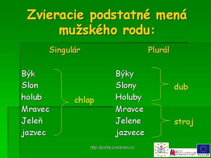 Zvieracie podstatné mená mužského rodu: Singulár Býk Slon holub Mravec Jeleň jazvec Plurál chlap