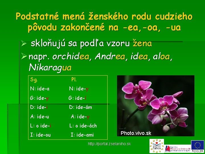 Podstatné mená ženského rodu cudzieho pôvodu zakončené na -ea, -oa, -ua Ø skloňujú sa