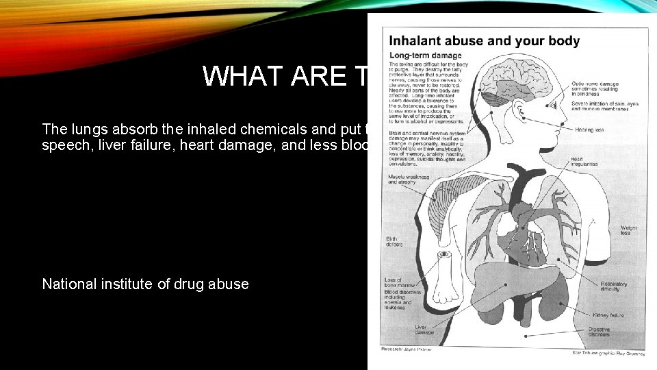 WHAT ARE THE HEALTH RISKS The lungs absorb the inhaled chemicals and put them