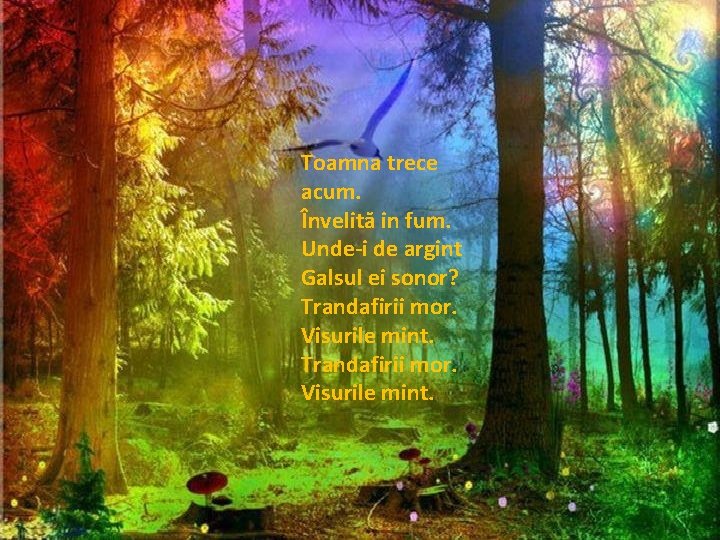 Toamna trece acum. Învelită in fum. Unde-i de argint Galsul ei sonor? Trandafirii mor. Toamna trece acum. Învelită in fum. Unde-i de argint Galsul ei sonor? Trandafirii mor.
