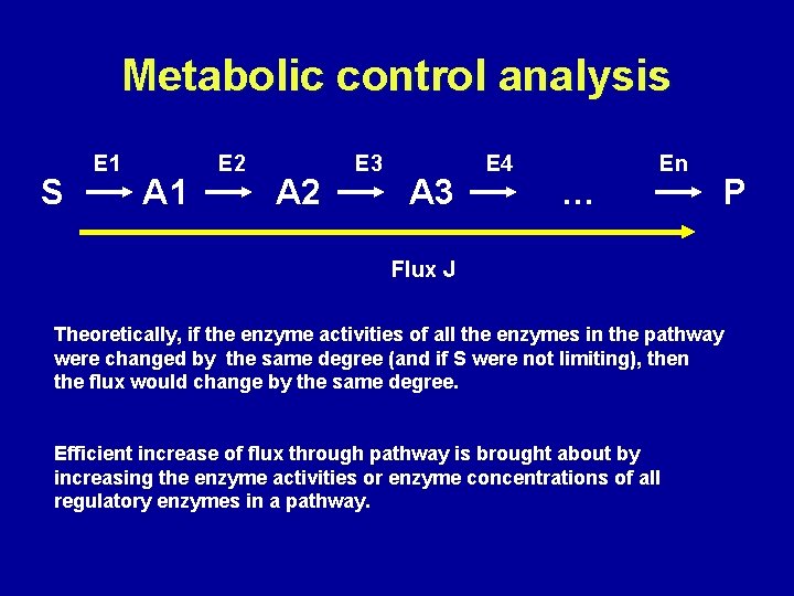 Metabolic control analysis S E 1 A 1 E 2 A 2 E 3