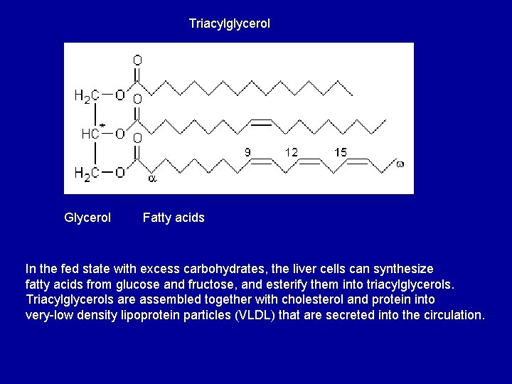 Triacylglycerol Glycerol Fatty acids In the fed state with excess carbohydrates, the liver cells