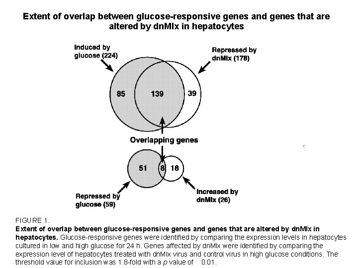 Extent of overlap between glucose-responsive genes and genes that are altered by dn. Mlx