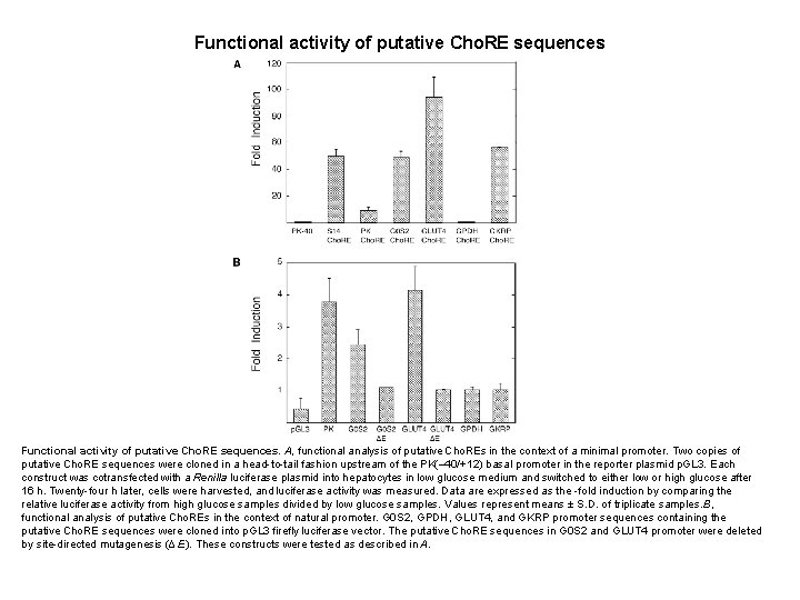 Functional activity of putative Cho. RE sequences. A, functional analysis of putative Cho. REs