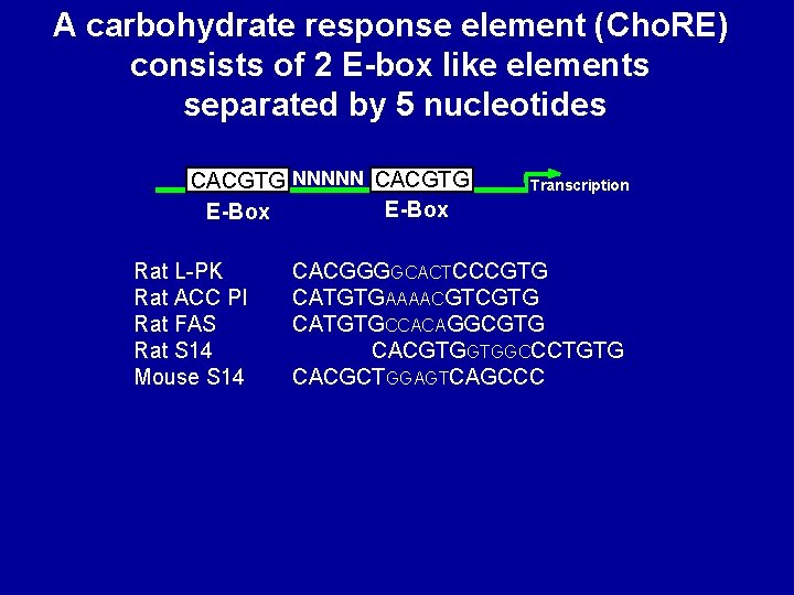 A carbohydrate response element (Cho. RE) consists of 2 E-box like elements separated by