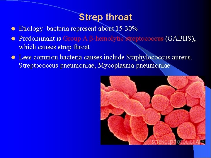 Strep throat Etiology: bacteria represent about 15 -30% l Predominant is Group A β-hemolytic