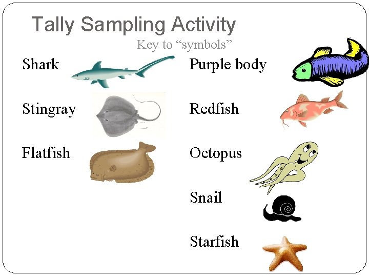 Tally Sampling Activity Key to “symbols” Shark Purple body Stingray Redfish Flatfish Octopus Snail