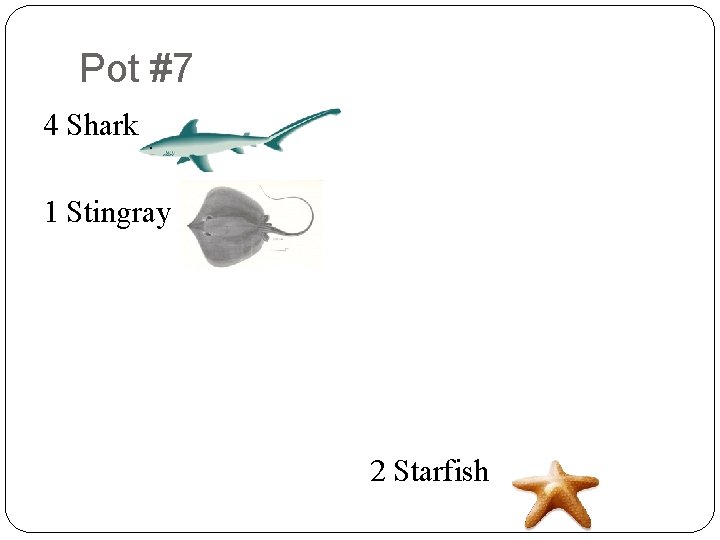 Pot #7 8 6 4 Shark 9 2 1 Stingray 9 8 7 3