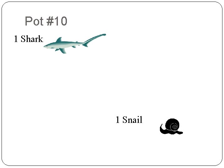 Pot #10 8 1 Shark 9 2 9 8 7 3 4 9 3