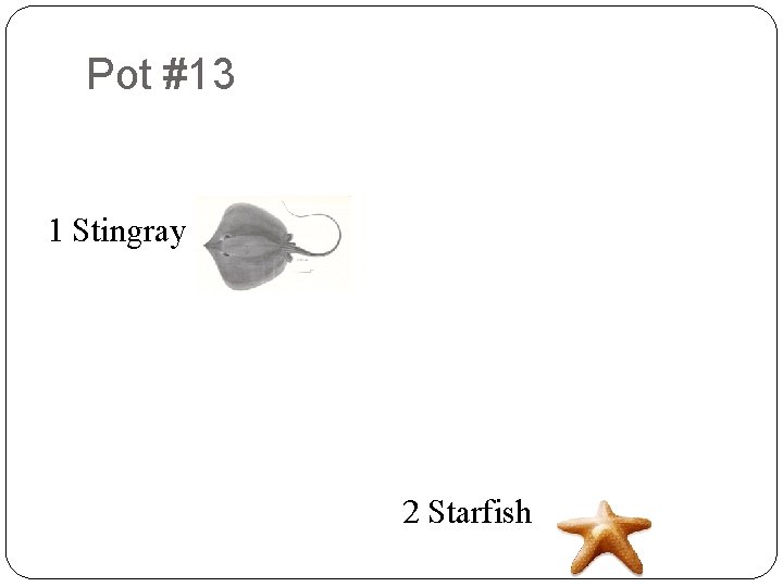 Pot #13 8 6 9 2 1 Stingray 9 8 7 3 4 9