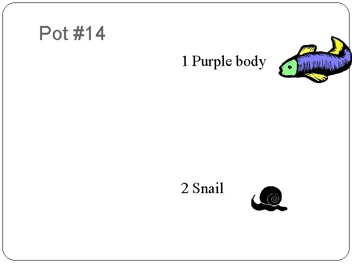 Pot #14 8 9 2 9 8 6 9 7 5 2 4 7