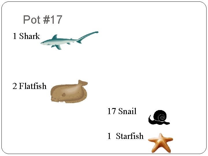 Pot #17 8 6 2 4 4 1 Shark 9 2 9 8 7