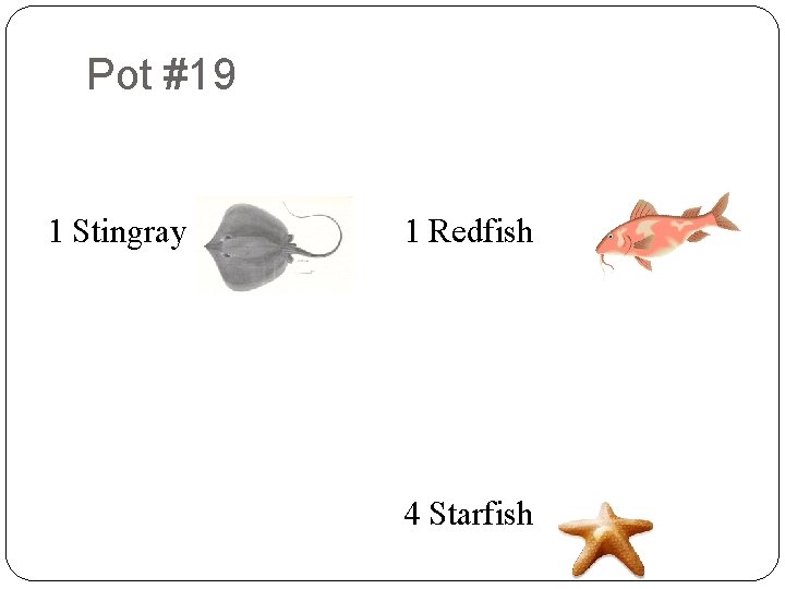 Pot #19 8 6 9 2 1 Stingray 9 8 9 7 5 2