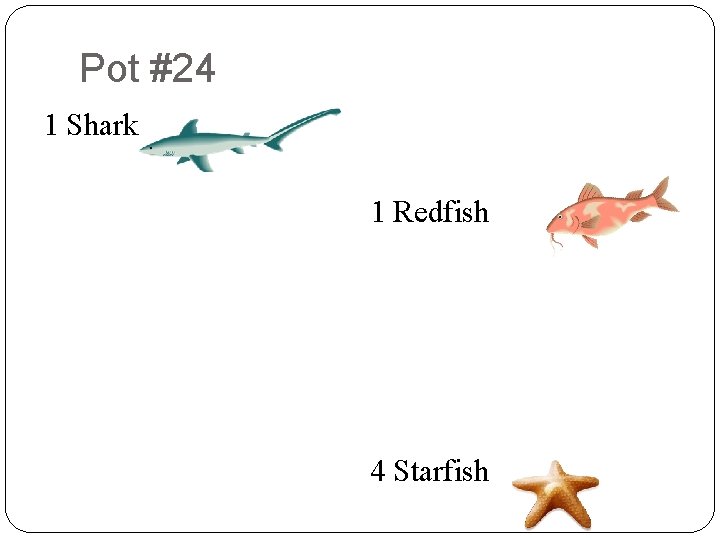 Pot #24 8 1 Shark 9 2 9 8 6 9 7 5 2