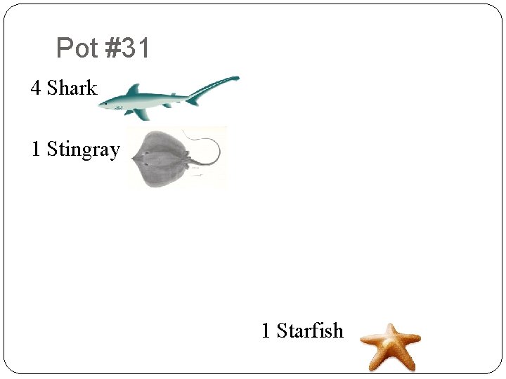 Pot #31 8 6 4 Shark 9 2 1 Stingray 9 8 7 3