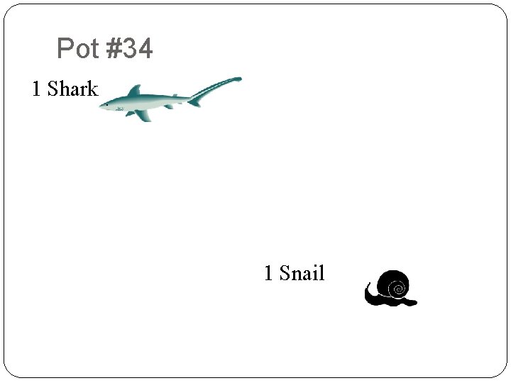 Pot #34 8 1 Shark 9 2 9 8 7 3 4 9 3