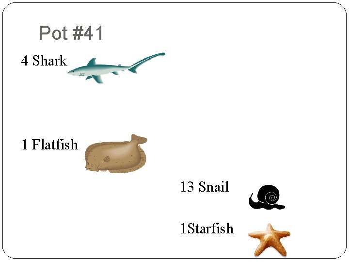 Pot #41 8 6 2 4 4 4 Shark 9 2 9 8 7