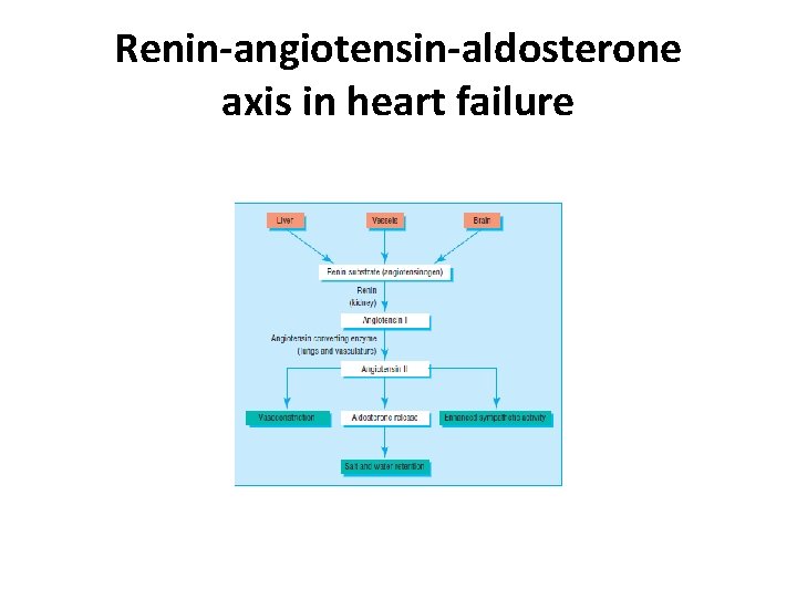 Renin-angiotensin-aldosterone axis in heart failure 