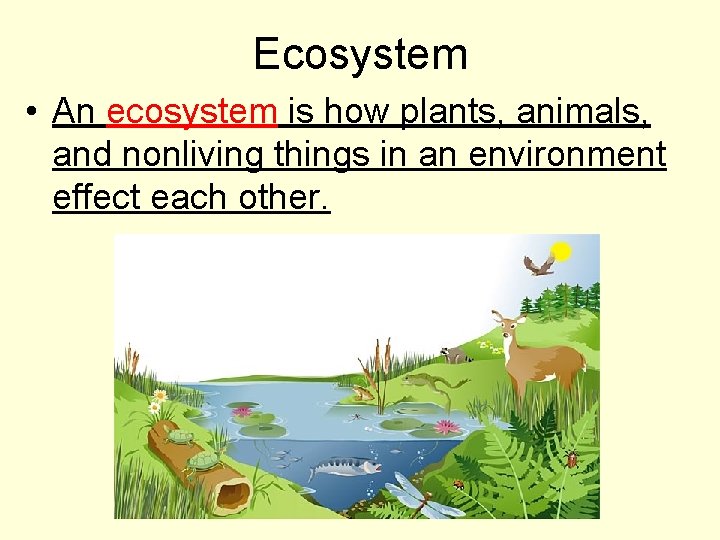Ecosystem • An ecosystem is how plants, animals, and nonliving things in an environment