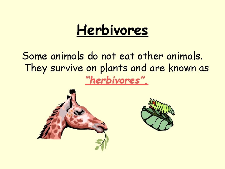 Herbivores Some animals do not eat other animals. They survive on plants and are