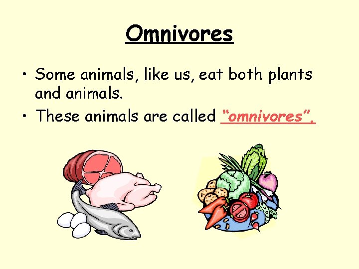 Omnivores • Some animals, like us, eat both plants and animals. • These animals