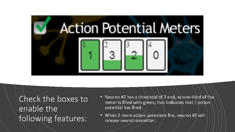 Check the boxes to enable the following features: • Neuron #2 has a threshold