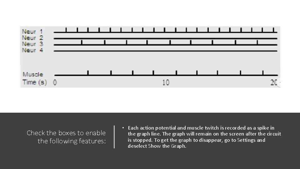 Check the boxes to enable the following features: • Each action potential and muscle